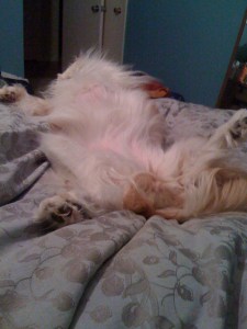 Nasty Baby Nasty Baby